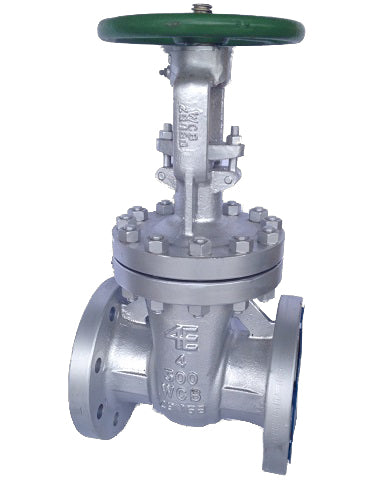 VÁLVULA DE COMPUTADORA 8" 300# RF A216WCB