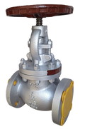 valvula-globo-2-150-rf-a216wcb