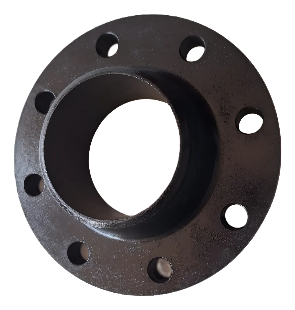 BRIDA WN 4" 300# RF A105 CED 80